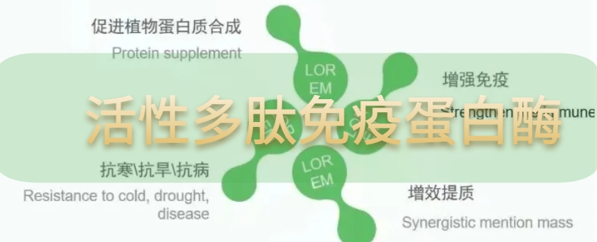 活性多(duō)肽免疫蛋白(bái)酶1.jpg