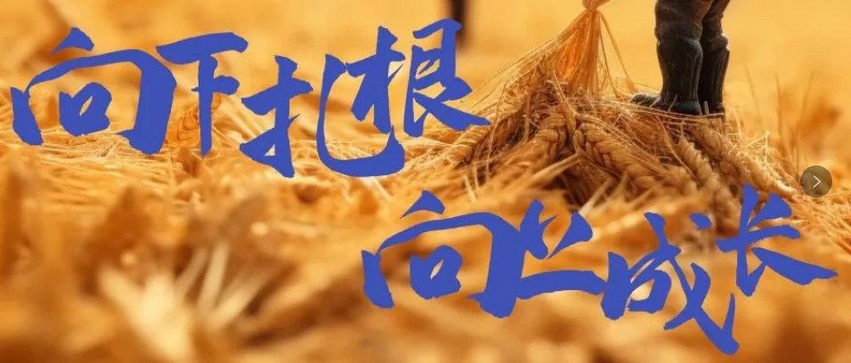 向下(xià)紮根，向上(shàng)成長(cháng)，司普沃6月(yuè)市(shì)場(chǎng)服務一(yī)線效果反饋