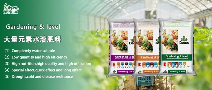 愛(ài)萊沃意大(dà)利原包進口大(dà)量元素水(shuǐ)溶肥料|世界品質，火(huǒ)爆“炸市(shì)”