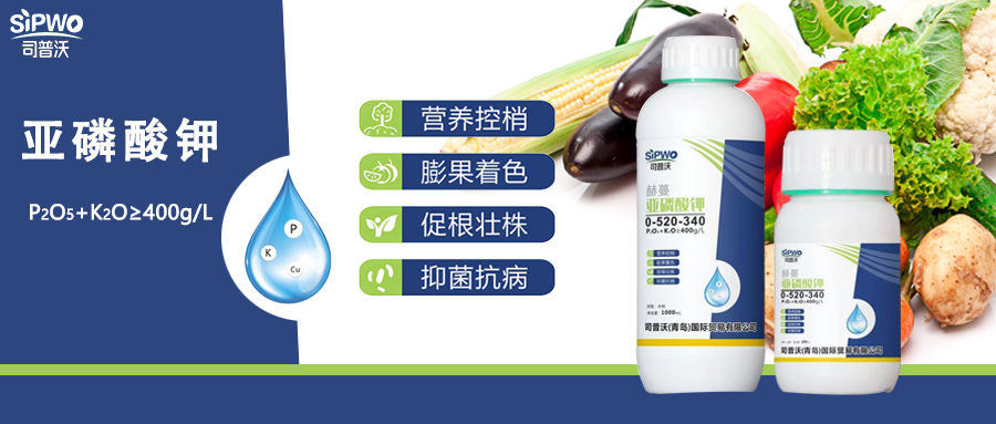 赫蔓·亞磷酸鉀|亦藥亦肥：營養控梢，防病抑菌用(yòng)處大(dà)