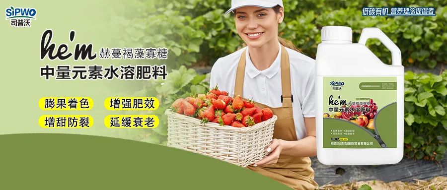 褐藻寡糖--中量元素水(shuǐ)溶肥|膨果著(zhe)色、增強肥效、增甜防裂、延緩衰老(lǎo)