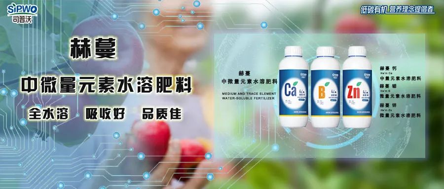 中微(wēi)量元素鈣、硼、鋅|移動快(kuài)、吸收好(hǎo)、營養全、品質佳