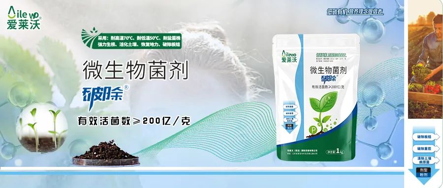 愛(ài)萊沃·微(wēi)生(shēng)物(wù)菌劑_破除|沃土(tǔ)、生(shēng)根、抗病一(yī)步到(dào)位