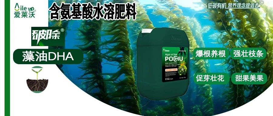 愛(ài)萊沃·破除藻油DHA|爆根養根、強壯枝條、促芽壯花(huā)、甜果美(měi)果