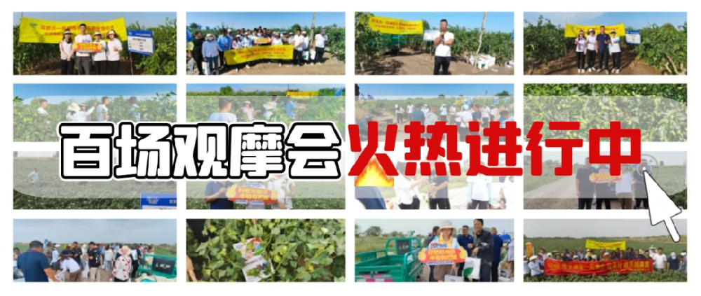 司普沃盛啓百場(chǎng)觀摩會(huì)，**檢驗産品熱(rè)潮正當時(shí)
