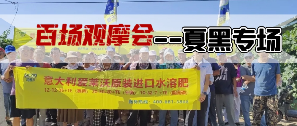 新疆博樂(yuè)地(dì)區(qū)夏黑(hēi)葡萄觀摩會(huì)圓滿成功，司普沃功能(néng)肥閃耀全場(chǎng)