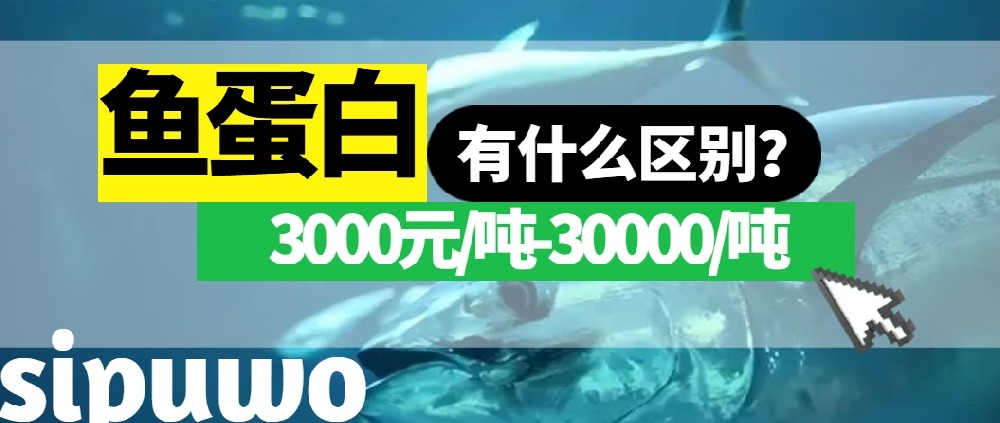 3000-30000元/噸的(de)魚蛋白(bái)有(yǒu)多(duō)大(dà)差距？一(yī)篇文(wén)章(zhāng)告訴你(nǐ)！